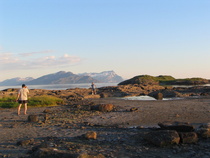 Bodö