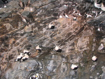 Nordkapp